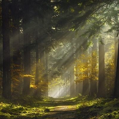 量子特攻手机版